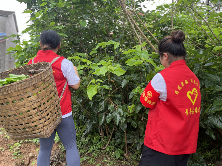 7.25+玉皇收费站+玉皇收费站开展“爱心助桑农,温暖满乡村”主题活动.jpg