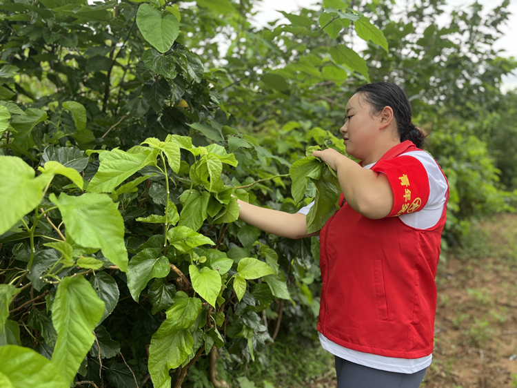 7.25+玉皇收费站+玉皇收费站开展“爱心助桑农,温暖满乡村”主题活动 (2).jpg