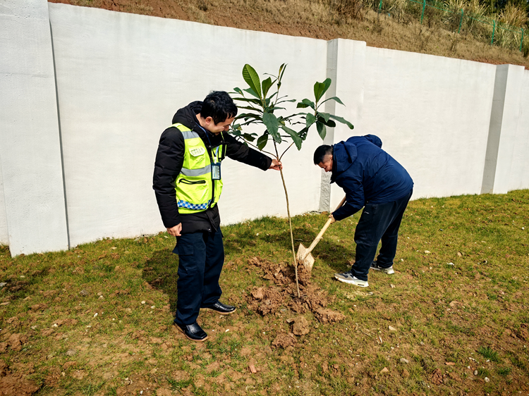 3.6+鸣龙站+鸣龙站开展“关爱自然 种下美好”植树节活动.png
