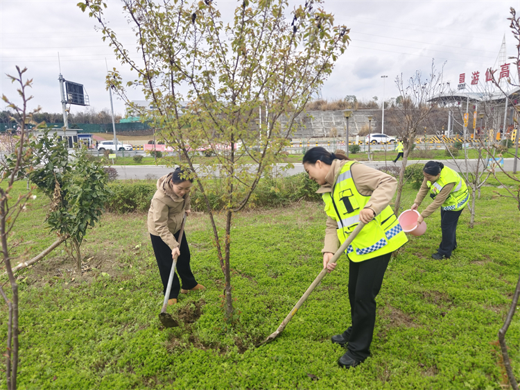 3.10+仙海站+仙海收费站联合长明、高新区收费站开展植树联盟活动 为大地添新绿.jpg