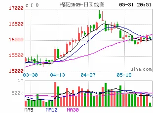 棉花：内外盘携手拉升，期棉突破万六关口